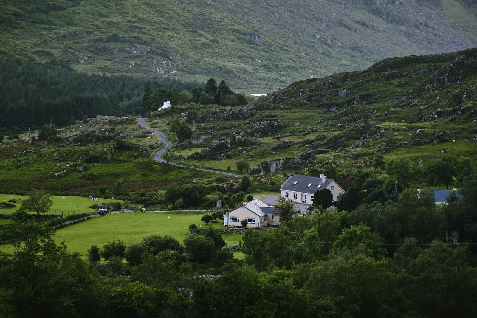 A farmhouse in a green Irish valley